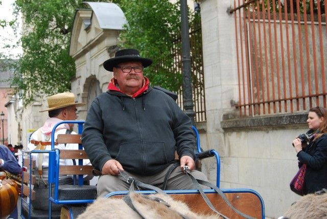 Orelans 8 mai 2014 (63).jpg